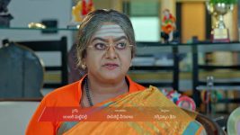 Dheerga Sumangli Bhava (Zee Telugu) S01 E114 16th August 2025