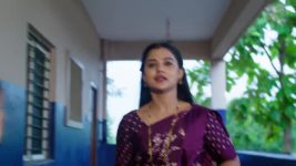 Ennallo Vechina Hrudayam (Zee telugu) S01 E185 29th August 2025