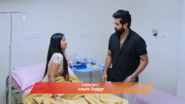Gattimelam S01 E146 5th August 2025