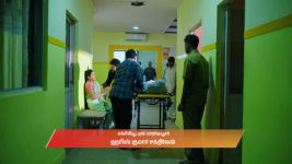 Gattimelam S01 E166 21st August 2025