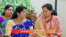 Gattimelam S01 E167 22nd August 2025