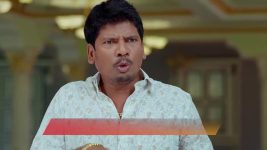 Gharana Mogudu (Zee Telugu) S01 E84 16th August 2025