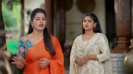 Illu Illalu Pillalu (Star Maa) S01 E238 Narmada Plots to Expose Srivalli
