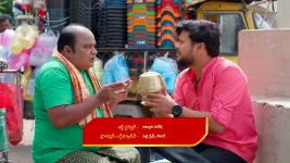 Illu Illalu Pillalu (Star Maa) S01 E247 Narmada, Prema Reunite