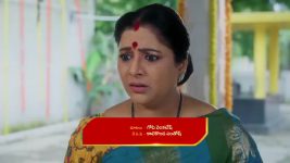 Intinti Ramayanam (Star Maa) S01 E376 Parvati Is Overcome with Guilt