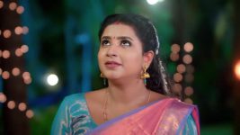 Karthigai Deepam S01 E934 7th August 2025