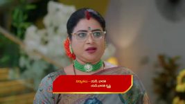 Karthika Deepam S02 E439 Kanchana Frets Over Karthik