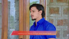 Lakshmi Nivasa S01 E731 1st August 2025