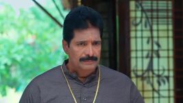 Maamagaru (Star Maa) S01 E599 Subhra Comforts Ganga