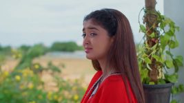 Meghasandesam (Zee Telugu) S01 E379 4th August 2025