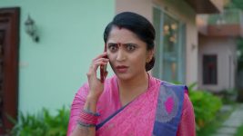 Meghasandesam (Zee Telugu) S01 E383 8th August 2025