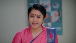 Meghasandesam (Zee Telugu) S01 E384 9th August 2025