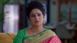 Meghasandesam (Zee Telugu) S01 E388 14th August 2025