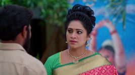 Meghasandesam (Zee Telugu) S01 E389 15th August 2025