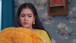 Meghasandesam (Zee Telugu) S01 E392 19th August 2025