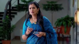 Meghasandesam (Zee Telugu) S01 E397 25th August 2025
