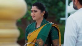 Meghasandesam (Zee Telugu) S01 E401 29th August 2025
