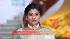 Mounam Pesiyadhe S01 E252 30th August 2025