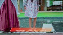Naa Ninna Bidalaare (Zee Kannada) S01 E145 15th August 2025