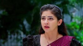 Nindu Noorella Saavasam S01 E653 22nd August 2025