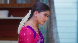 Ninnu Kori (Star Maa) S01 E369 Chandrakala Is Elated