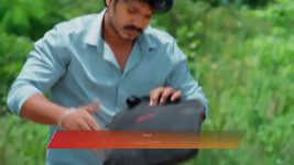 Padamati Sandhyaragam S01 E916 2nd August 2025