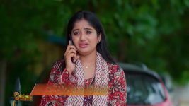 Padamati Sandhyaragam S01 E917 4th August 2025