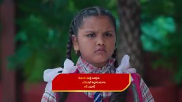 Paluke Bangaramayana S01 E613 Bobby is Belittled by Subhadra