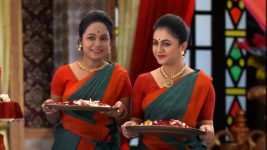 Parul (Zee tv) S01 E203 19th August 2025