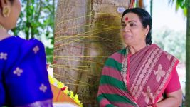 Puttakkana Makkalu S01 E1083 28th August 2025