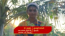 Renuka Yellamma (Star Maa) S01 E690 Renuka Gives a Clarity