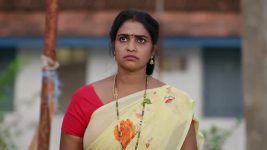 Salangai Oli (Zee Tamil) S01 E05 20th August 2025