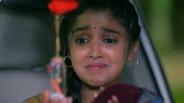 Salangai Oli (Zee Tamil) S01 E20 29th August 2025