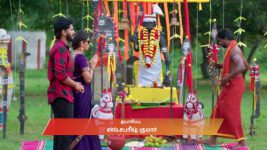 Sandhya Raagam (Tamil) S01 E616 16th August 2025