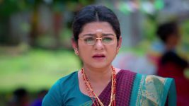 Sandhya Raagam (Tamil) S01 E617 16th August 2025