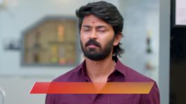 Sandhya Raagam (Tamil) S01 E631 28th August 2025