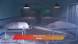 Varisu (Zee Tamil) S01 E22 24th July 2025