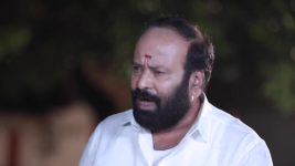 Varisu (Zee Tamil) S01 E44 20th August 2025