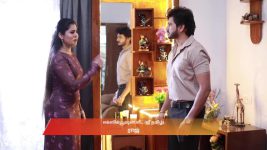 Varisu (Zee Tamil) S01 E46 22nd August 2025