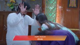 Veera (Zee Tamil) S01 E408 15th August 2025