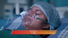 Veera (Zee Tamil) S01 E413 22nd August 2025
