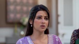 Grihoprobesh (Star Jalsha) S01 E263 Akash's Fowl Move