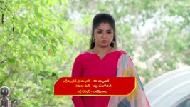 Gunde Ninda Gudi Gantalu S01 E481 Prabavathi's Demands Trouble Rohini