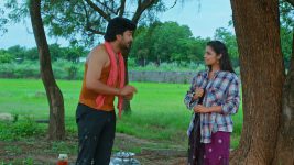 Maguva O Maguva S01 E466 Nivedha in Love with Chanti?