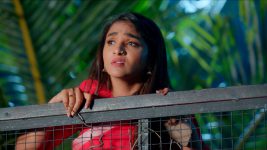 Ninagaagi (Colors Kannada) S01 E380 Will Rachana Discover Devi’s Truth?