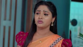 Nuvvu Nenu Prema S01E29 Padmavathi's Smart Move Full Episode