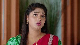 Nuvvu Nenu Prema S01E35 Padmavathi's Request to Murali Full Episode