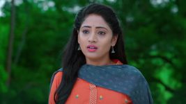 Nuvvu Nenu Prema S01E88 Padmavathi Seeks Murali's Help Full Episode