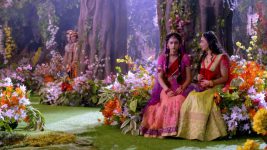 Radha Krishna (Tamil) S01E177 Shiva Appears to Kamsan Full Episode
