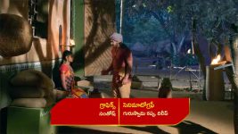 Renuka Yellamma (Star Maa) S01 E694 Renuka's Advice to Jamadagni